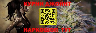 шишки Камышлов