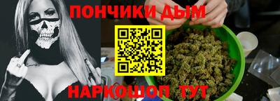 шишки Камышлов