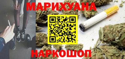 шишки Камышлов