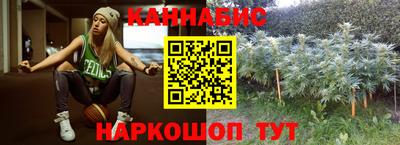 шишки Камышлов