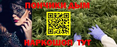 шишки Камышлов