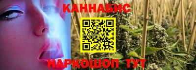 шишки Камышлов