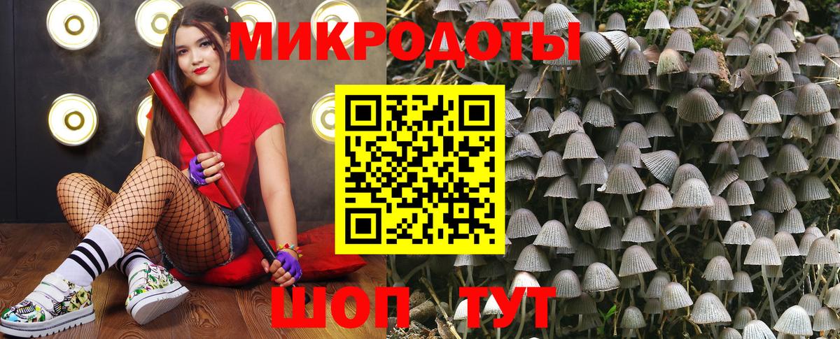 Галлюциногенные грибы Cubensis Ленинск-Кузнецкий